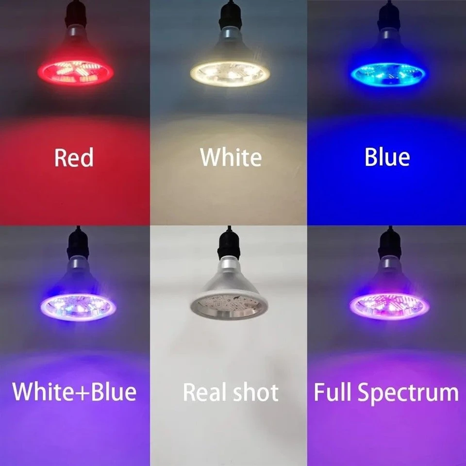 dimmable grow light bulb 5(001)