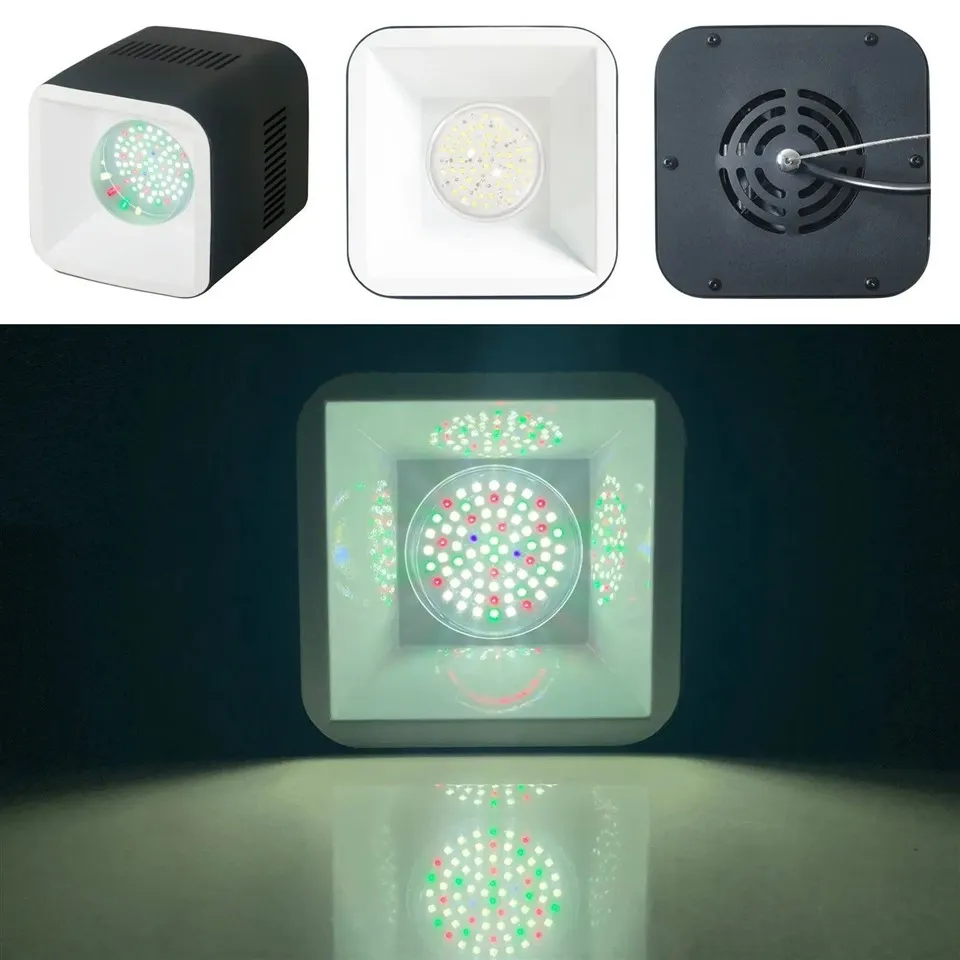 fish tank light bulb 03(001)