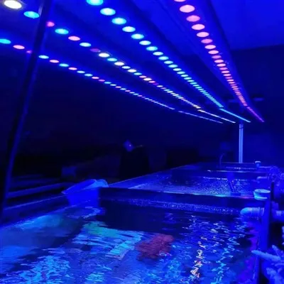 LED akvaryum lambalarının stabilitesi nasıl sağlanır?