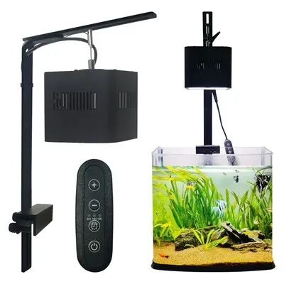 Balık tankı ampulü